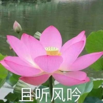 WTT重庆冠军赛：王楚钦鏖战晋级孙颖莎速胜田志希
